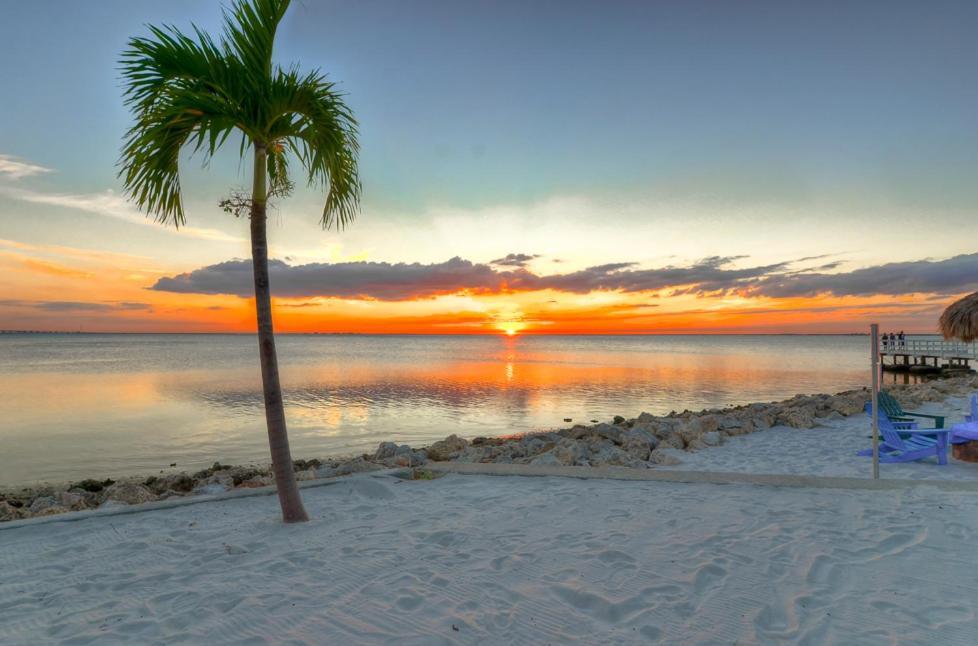 412-Amazing Views, Waterfront, Wifi, Pool, Close To Bucs Stadium Tampa Exterior photo